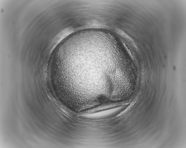 X0000087571170200705112205