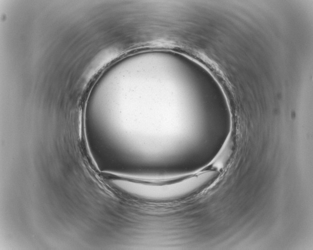 X0000087571171200705112205
