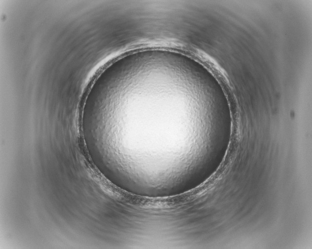 X0000087571174200705112205