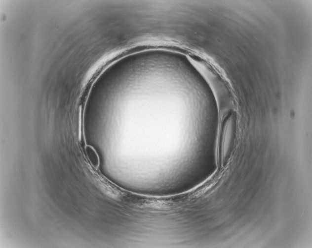 X0000087571175200705112205