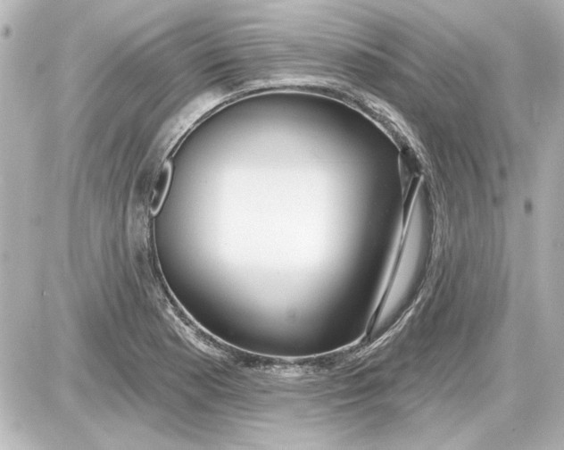 X0000087571177200705112205