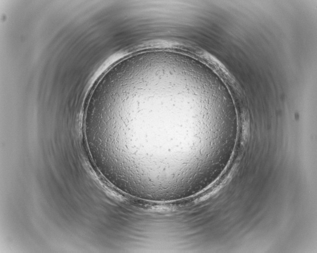 X0000087571178200705112205