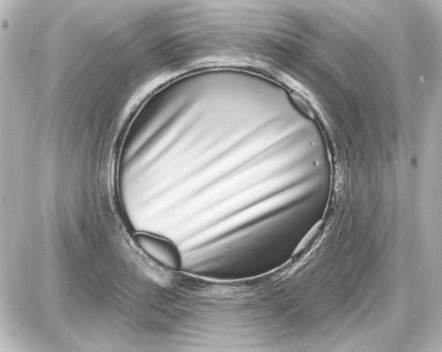 X0000087571179200705112205