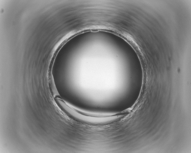 X0000087571181200705112205