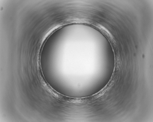 X0000087571182200705112205