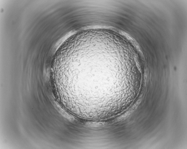 X0000087571185200705112205