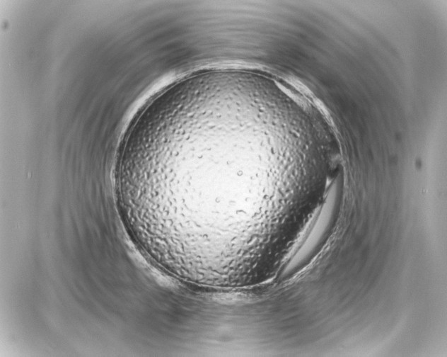 X0000087571189200705112205
