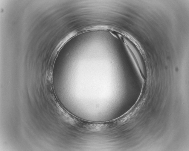 X0000087571193200705112205