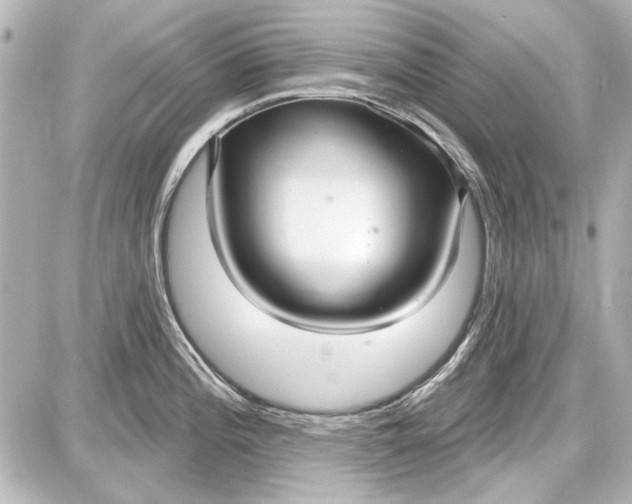 X0000087571196200705112205
