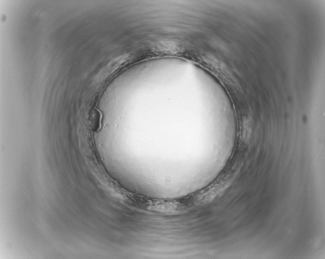 X0000087571201200705112204