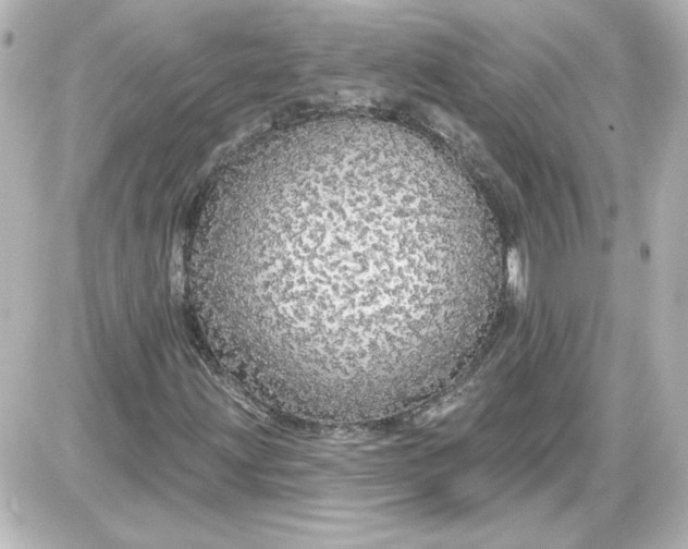 X0000087571203200705112204
