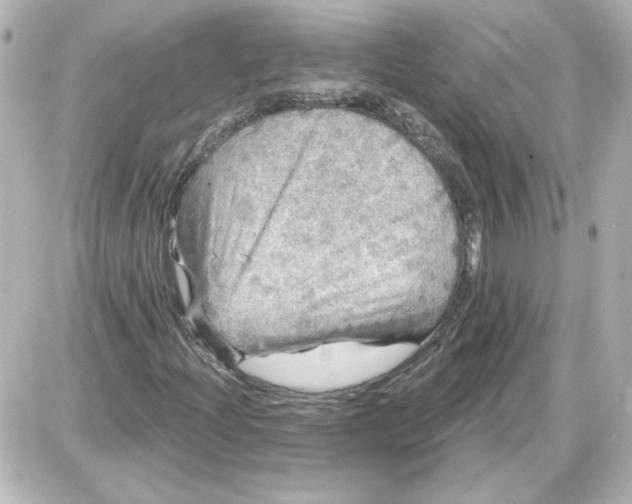 X0000087571204200705112204