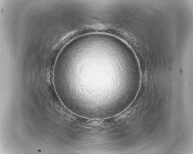 X0000087571205200705112204