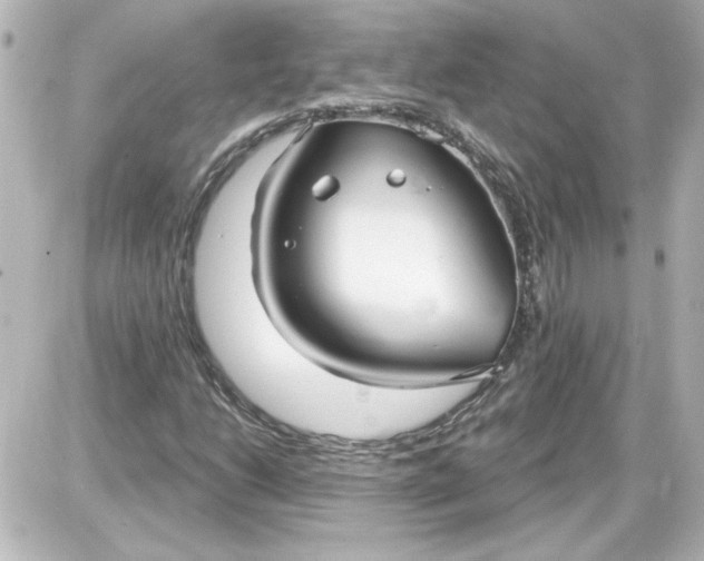X0000087571206200705112204