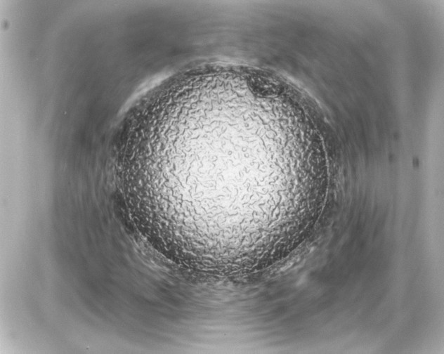 X0000087571207200705112204