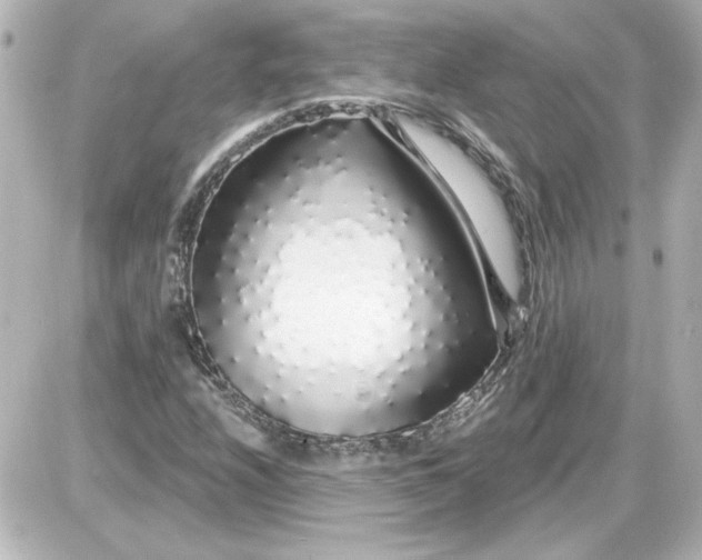 X0000087571208200705112204
