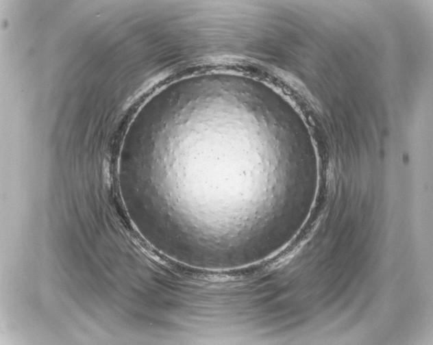 X0000087571209200705112204
