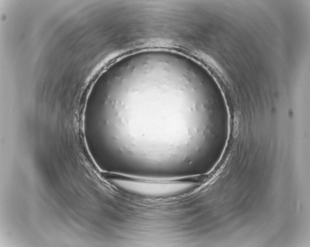 X0000087571212200705112204