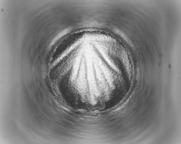 X0000087571213200705112204