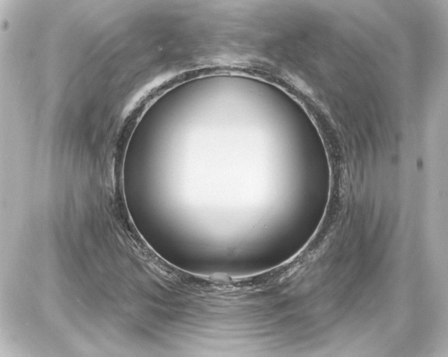 X0000087571214200705112204