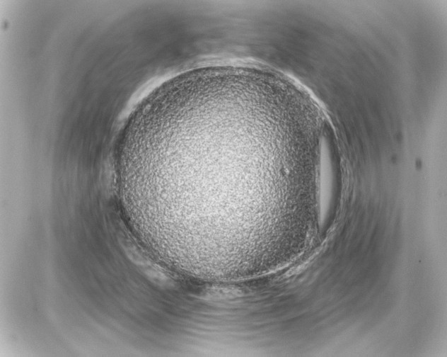 X0000087571215200705112204