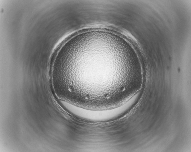 X0000087571216200705112204