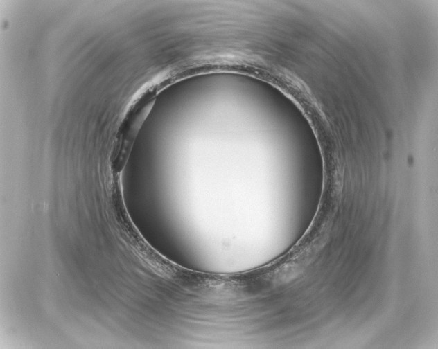 X0000087571218200705112204