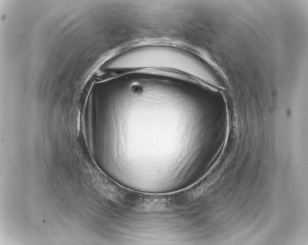 X0000087571221200705112204
