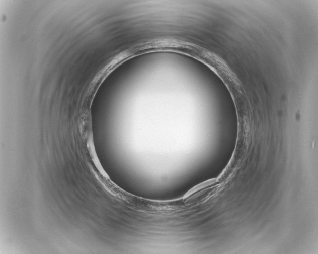 X0000087571225200705112204