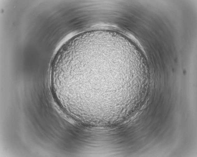 X0000087571227200705112204