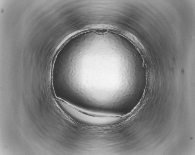 X0000087571228200705112204