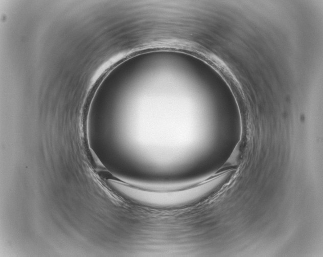 X0000087571230200705112204