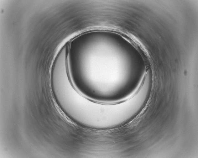 X0000087571238200705112204