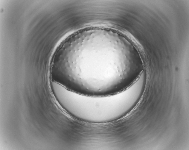 X0000087571240200705112204