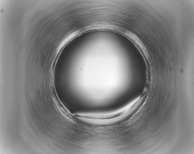 X0000087571242200705112204