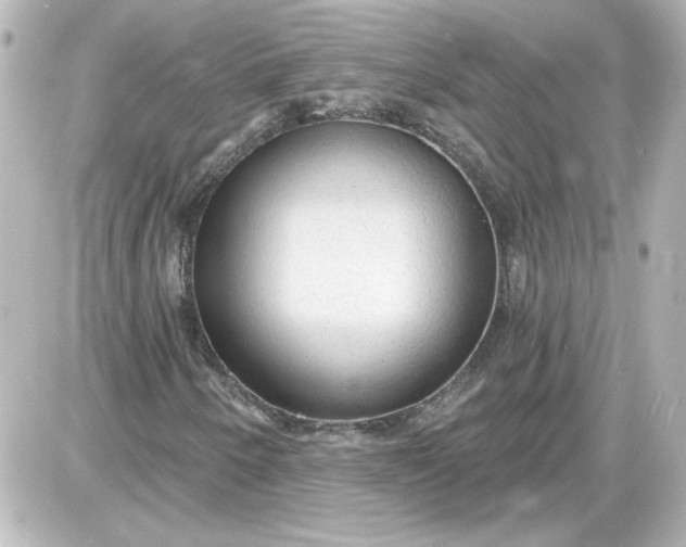 X0000087571250200705112204