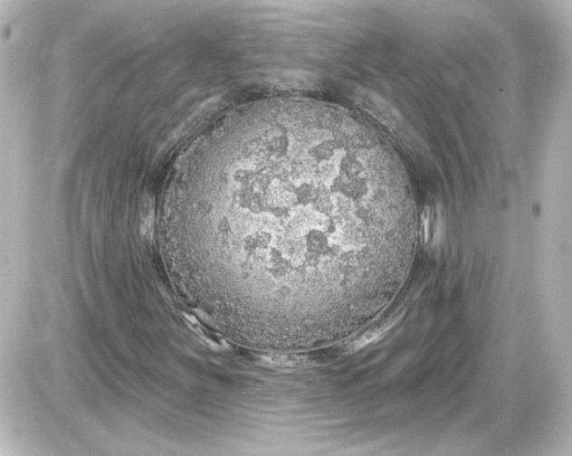 X0000087571251200705112204