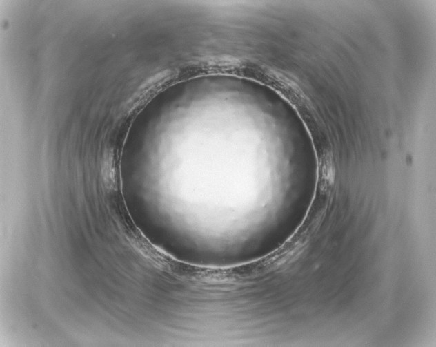 X0000087571252200705112204