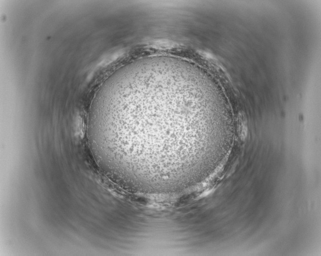 X0000087571253200705112204