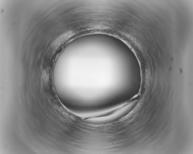 X0000087571257200705112204