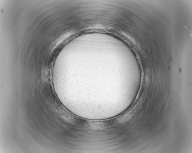 X0000087571258200705112204