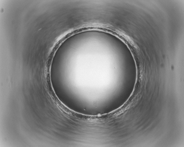 X0000087571264200705112203