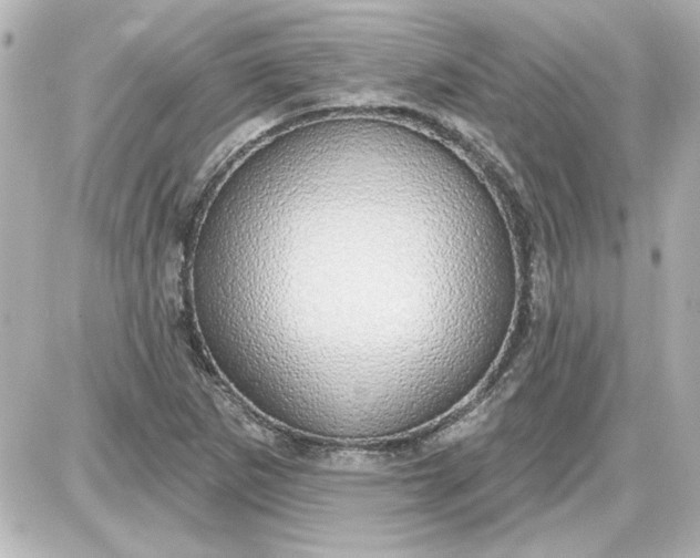 X0000087571265200705112203