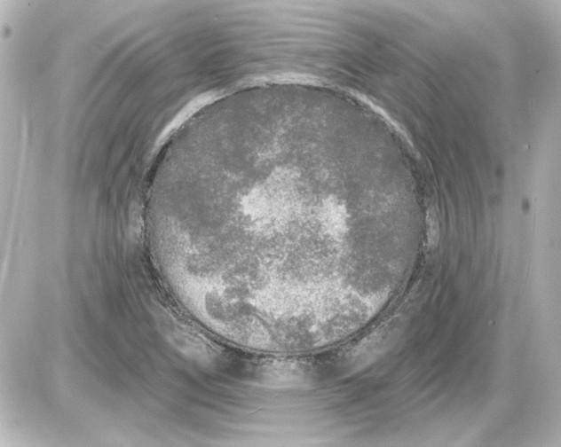 X0000087571266200705112203