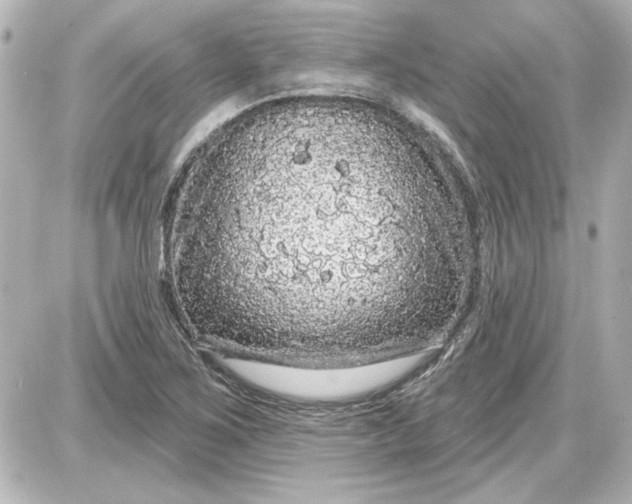 X0000087571267200705112203