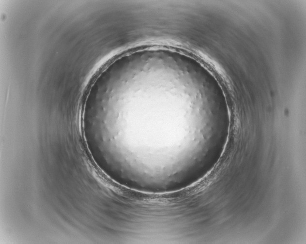 X0000087571272200705112203