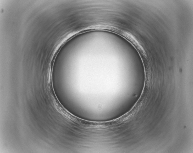 X0000087571276200705112203