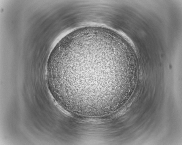 X0000087571287200705112203