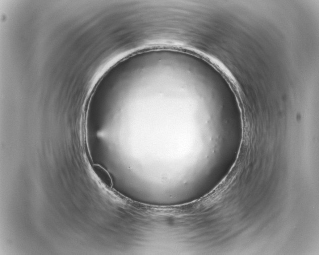 X0000087571295200705112203