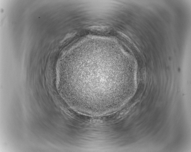 X0000087571297200705112202